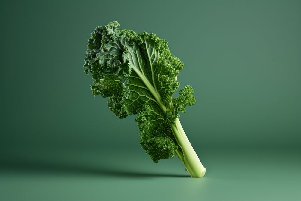 Kale vegetable plant food.