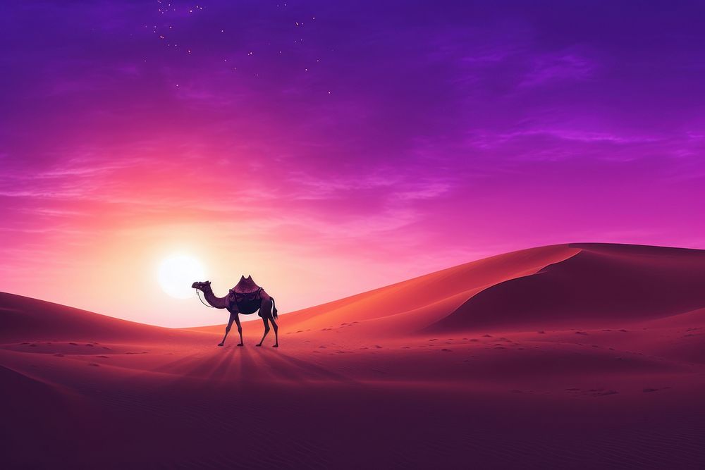 A camel with a purple night desert outdoors nature.