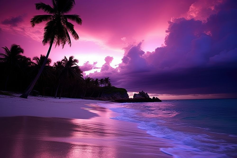 Purple sunset beach landscape outdoors.