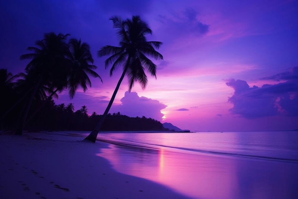 Purple sunset beach landscape outdoors.