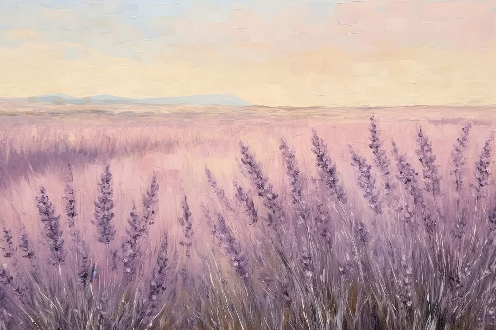 Lavender field painting backgrounds outdoors.