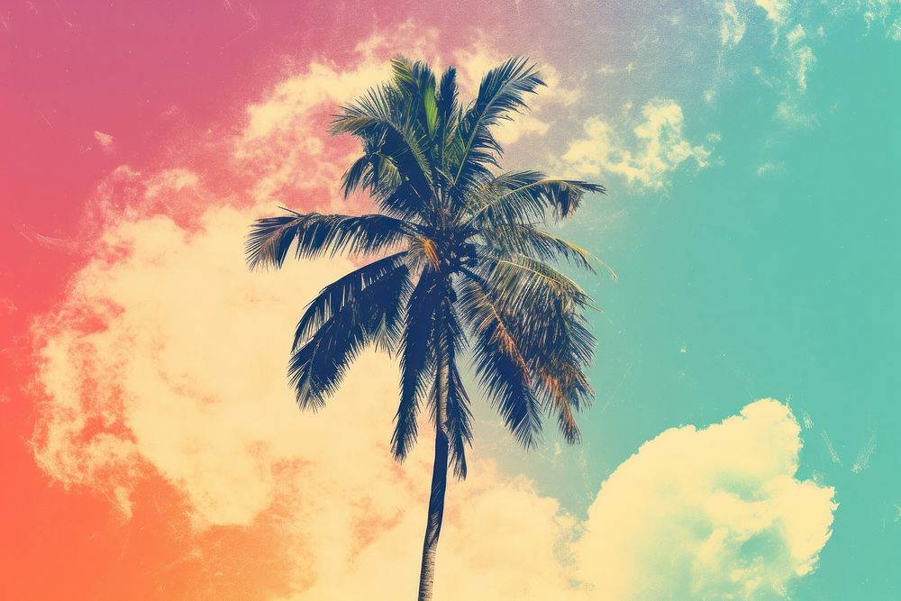 Collage Retro dreamy palm tree outdoors nature summer.