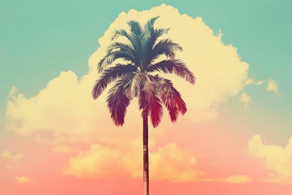 Collage Retro dreamy palm tree outdoors nature plant.