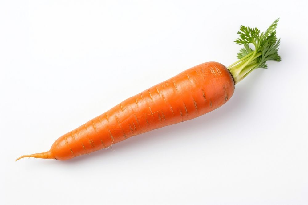 Fresh Carrot carrot vegetable plant.