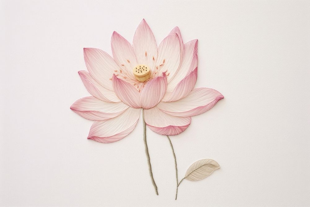 White fabric embroidery lotus flower.