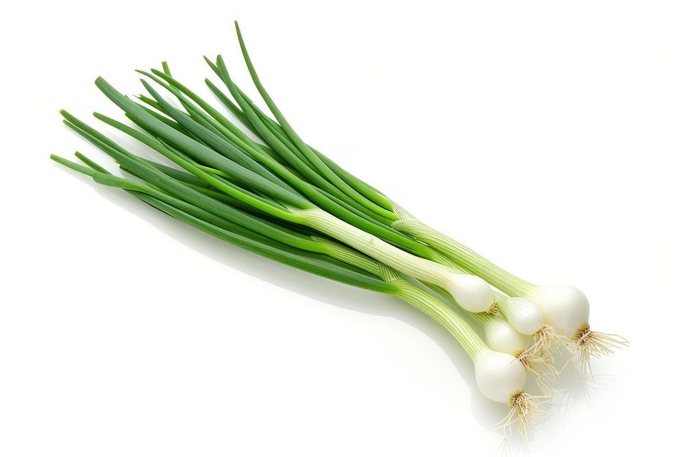 Spring onion vegetable plant food.