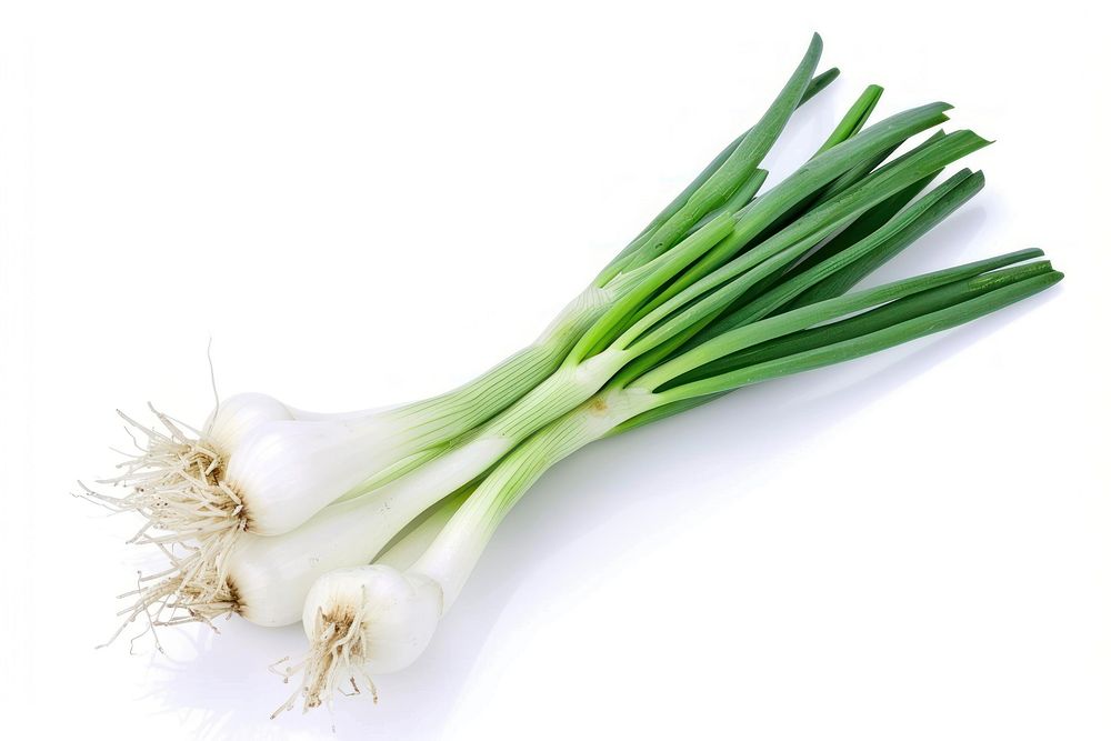 Spring onion vegetable plant white.