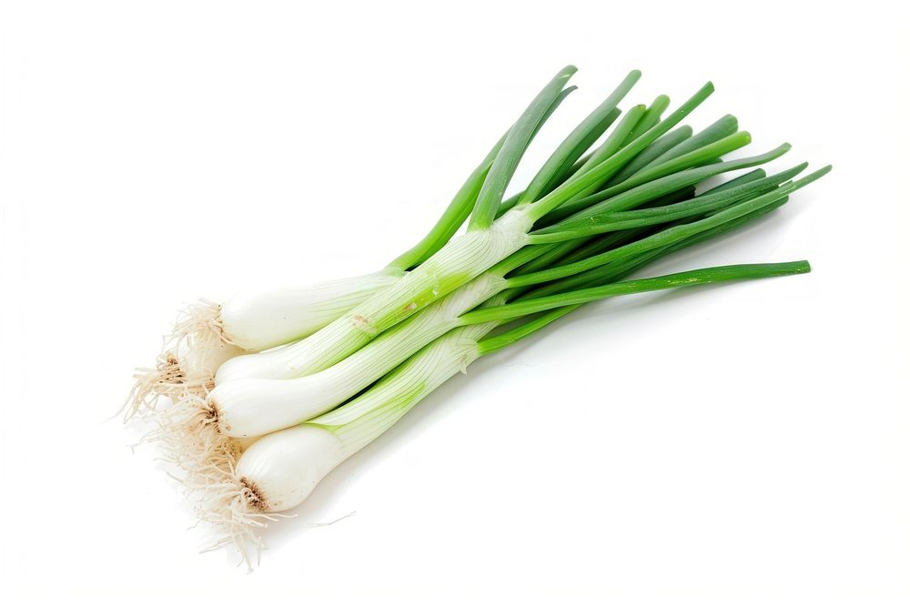 Spring onion vegetable plant food.