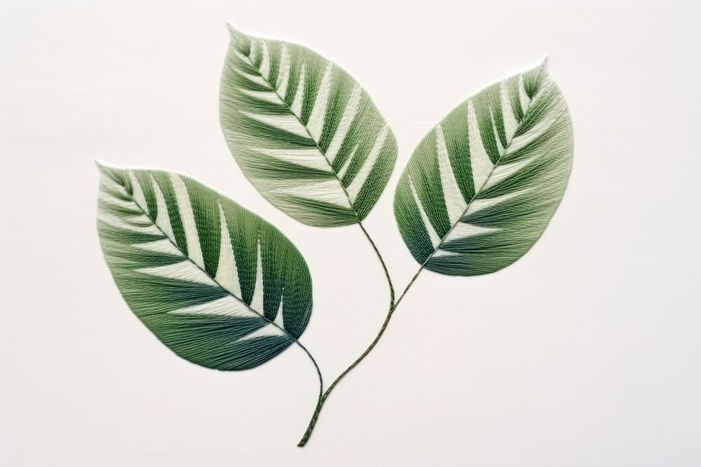 Botanical leave plant leaf annonaceae pattern.