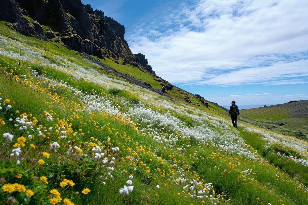 Flowers on mountain landscape grassland adventure.