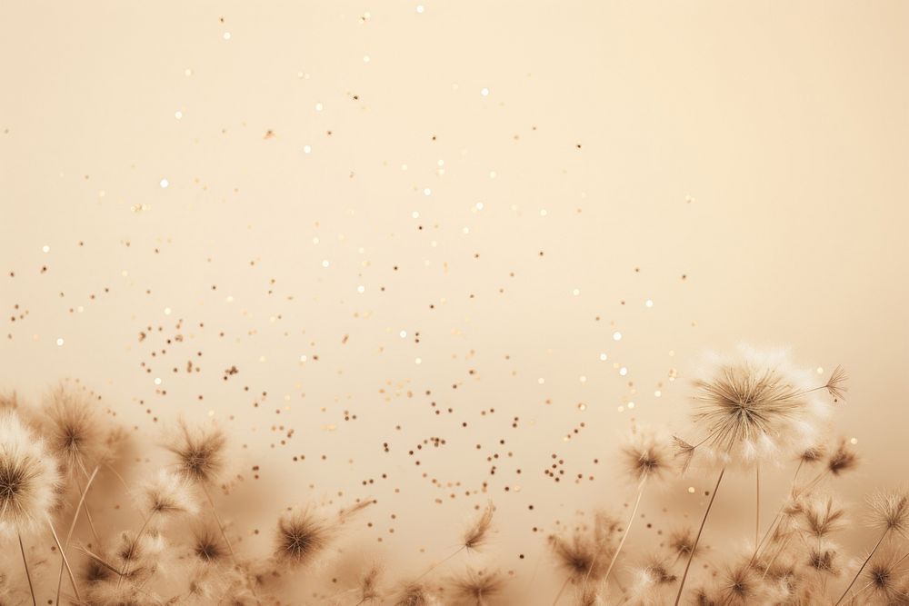  Dried bunny tail grass backgrounds dandelion flower. AI generated Image by rawpixel.