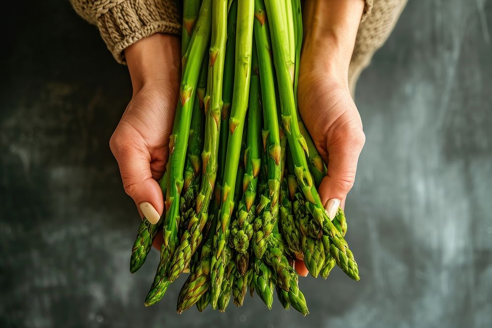 Hands holding asparagus vegetable bunch.