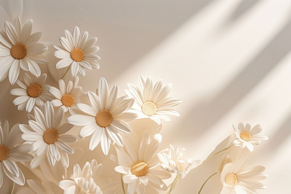  Aesthetic chamomile daisy flowers backgrounds sunlight pattern. AI generated Image by rawpixel.