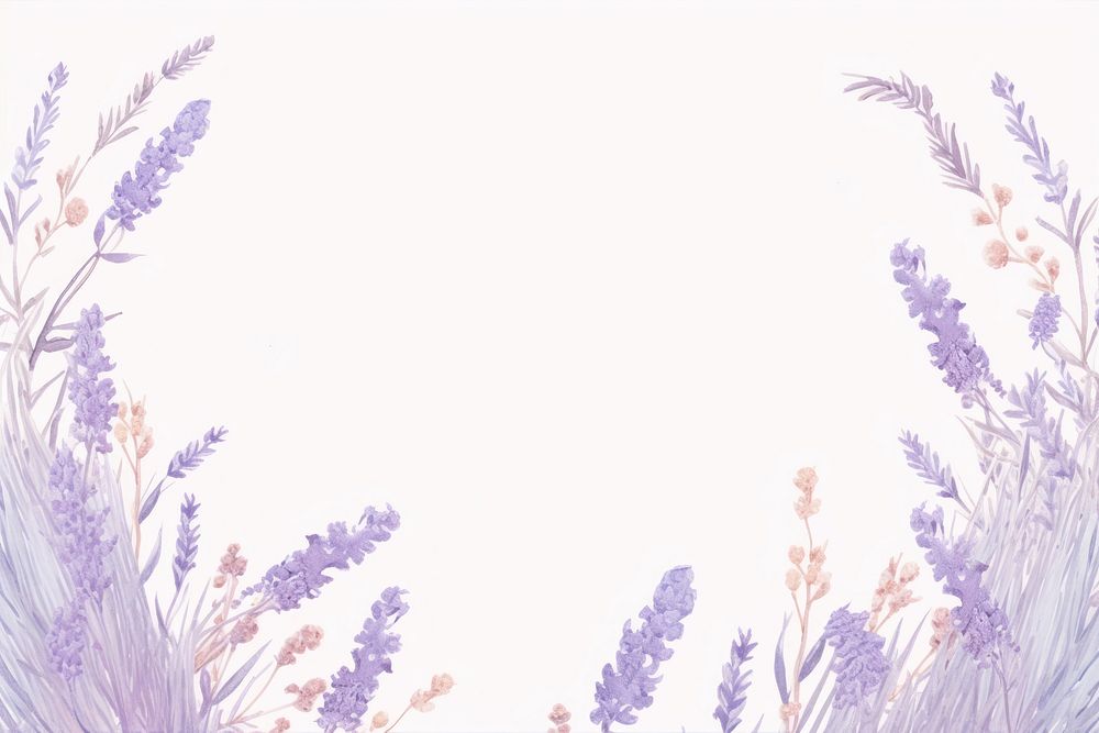 Lavender backgrounds flower purple. 