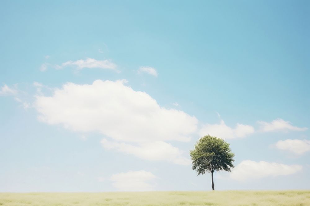Tree landscape sky outdoors. AI generated Image by rawpixel.