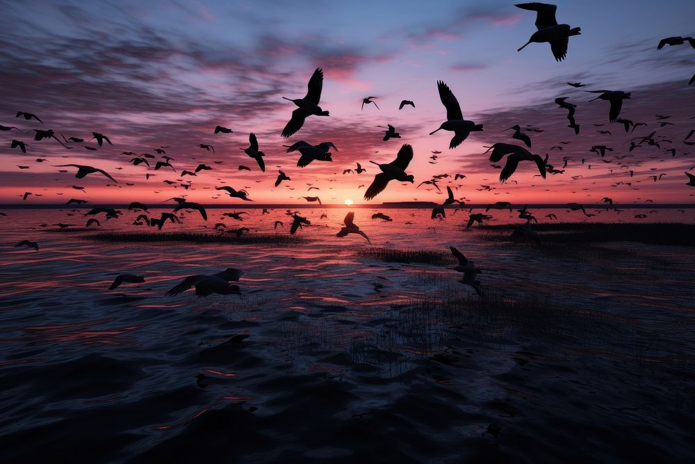  Migratory birds at sunset outdoors horizon nature. AI generated Image by rawpixel.