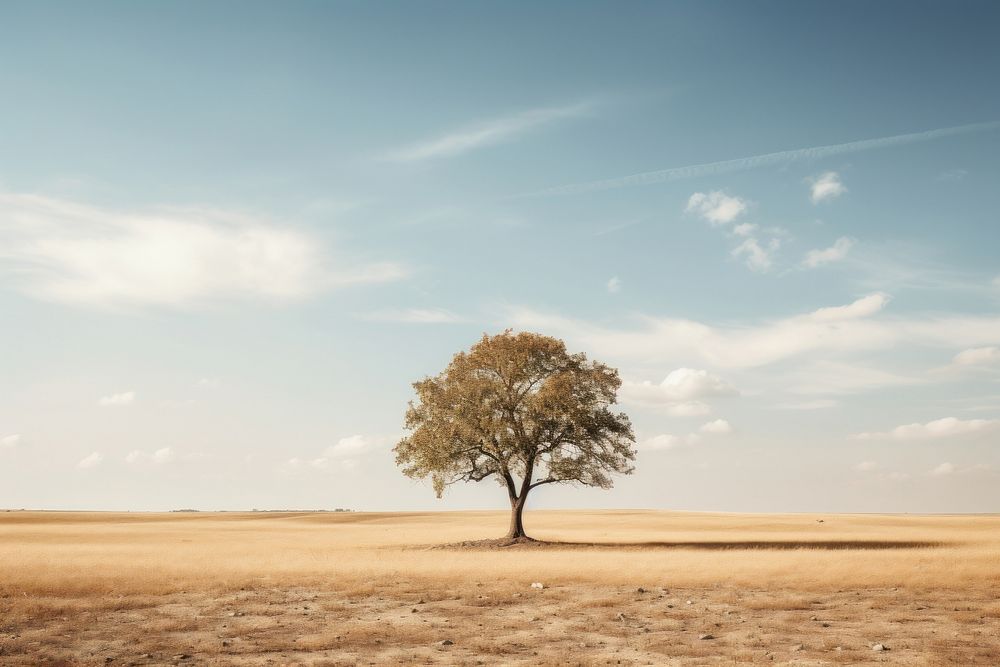 Tree outdoors horizon nature. AI generated Image by rawpixel.
