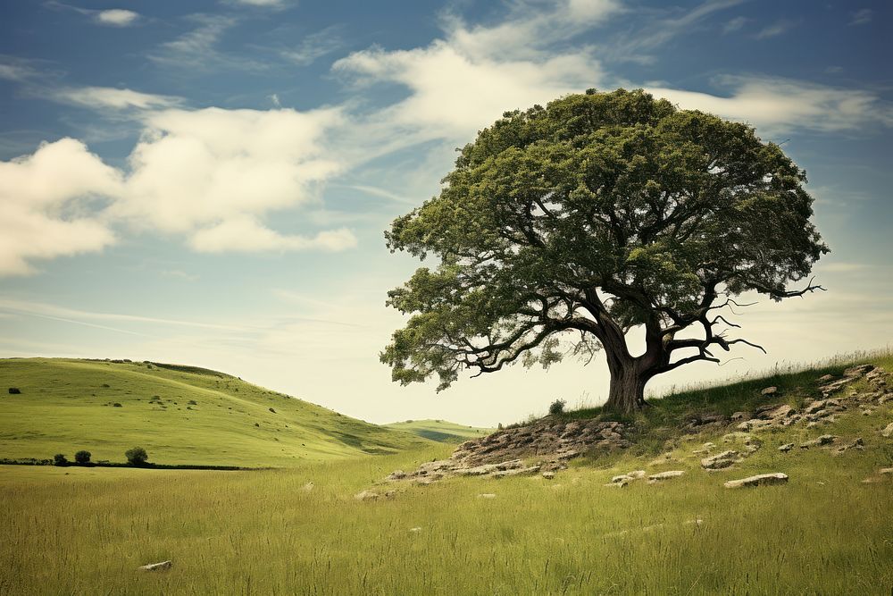 Tree field landscape grassland. AI generated Image by rawpixel.