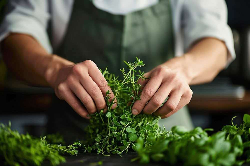 Pulling herbs adult plant food. Premium Photo rawpixel