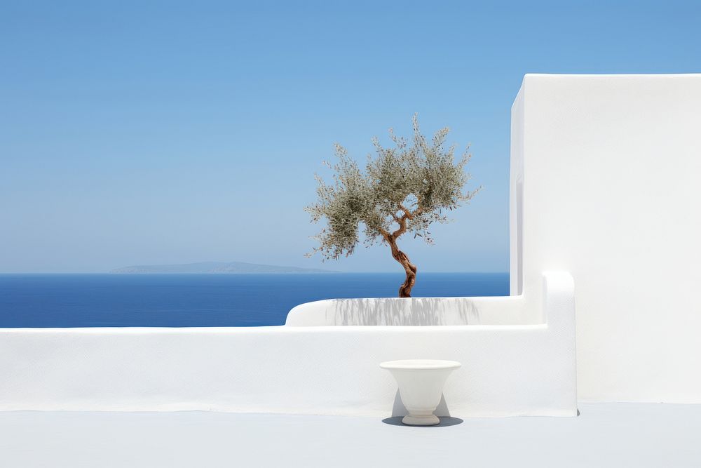 Greece plant white tree. AI generated Image by rawpixel.