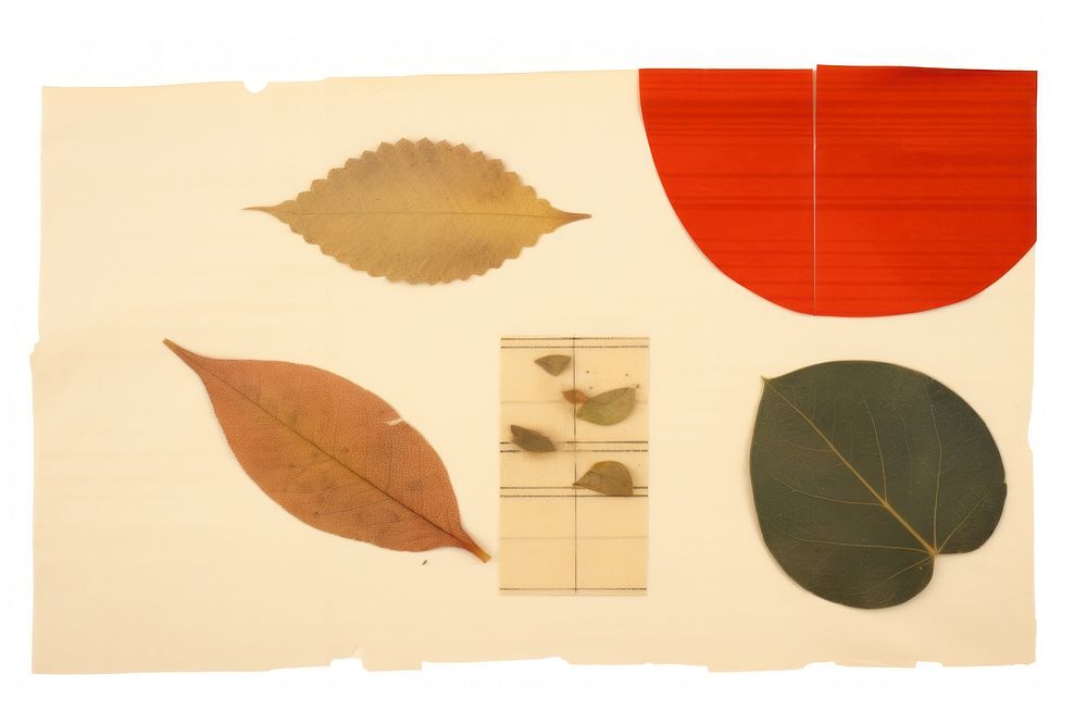 Craft paper collage element pattern plant leaf.