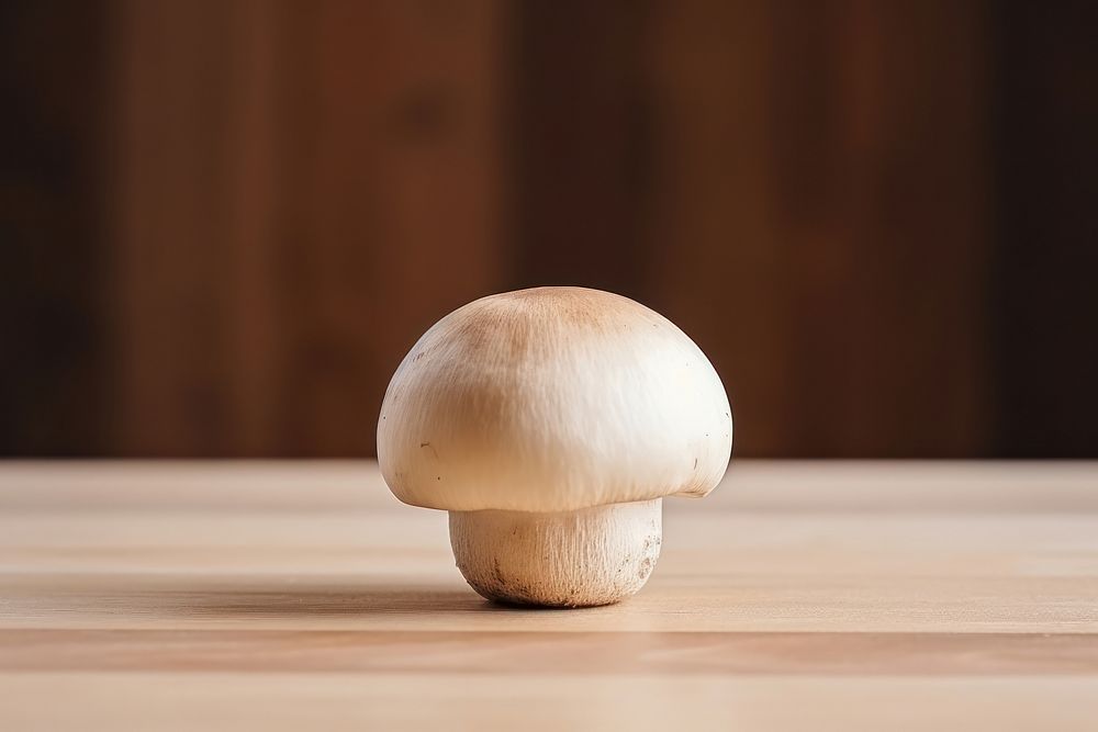 Champignon mushroom fungus wood agaricaceae.