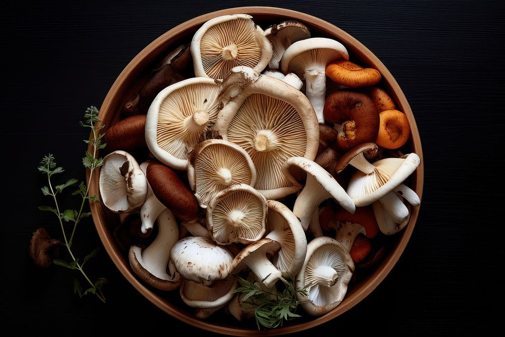 Wild mushrooms plant ingredient vegetable.