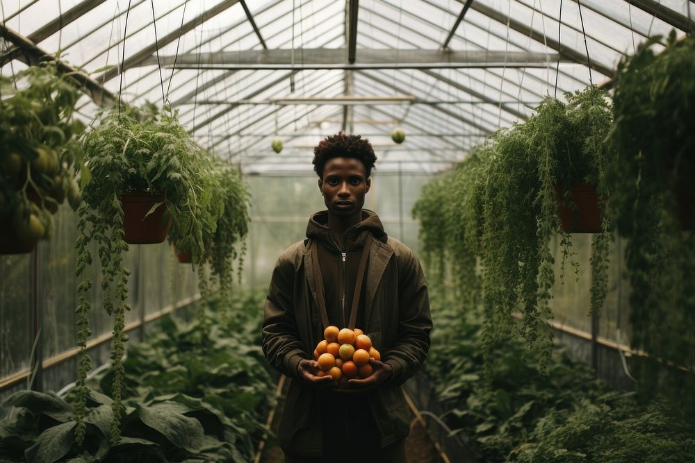 Black boy greenhouse gardening vegetable.