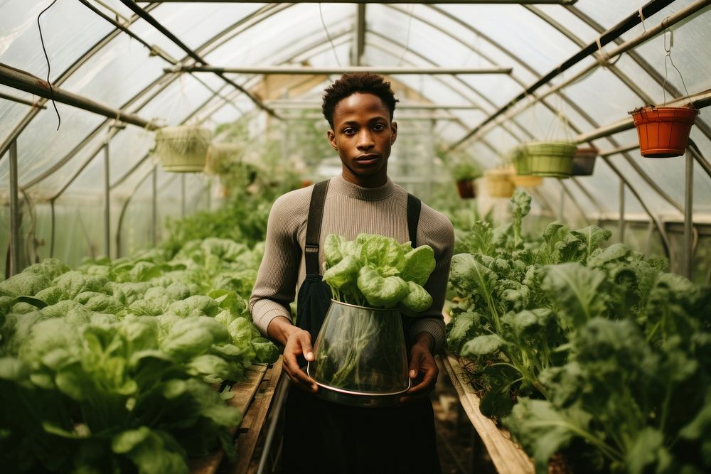 Black boy vegetable greenhouse gardening.