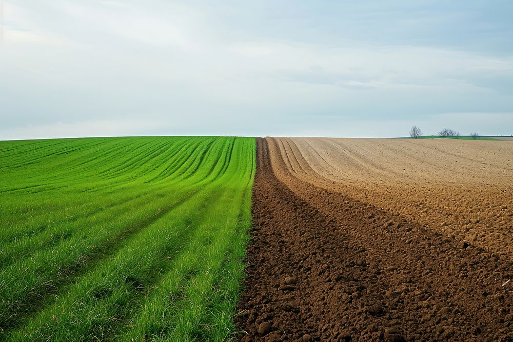 Green and plowed field outdoors horizon nature.