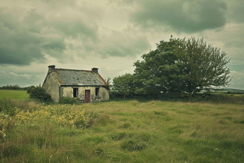 Rural areas in ireland architecture building outdoors.