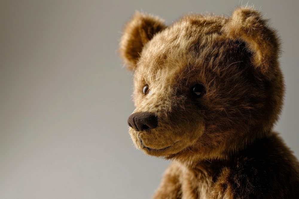 Cure baby bear portrait mammal animal. AI generated Image by rawpixel.