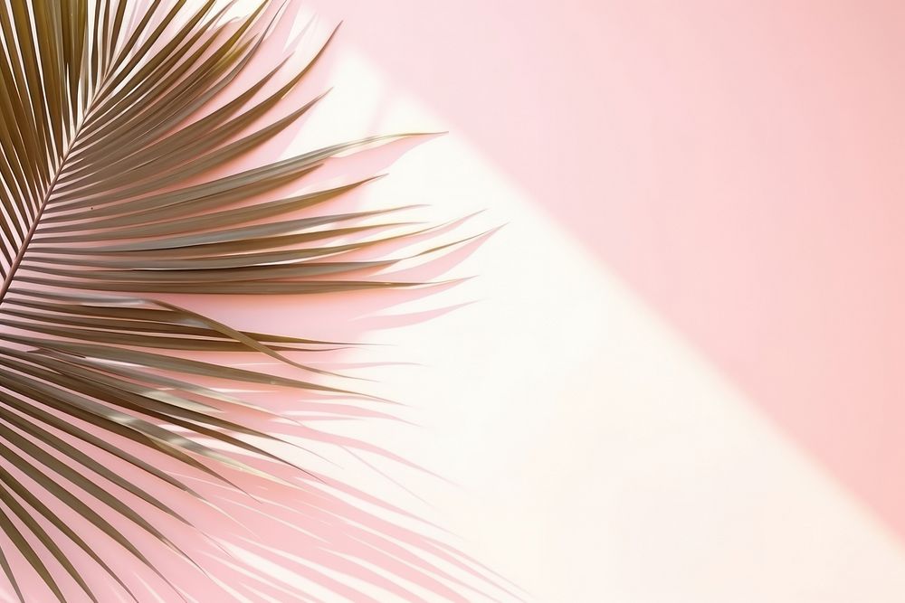  Natural palm leaf backgrounds nature plant. AI generated Image by rawpixel.