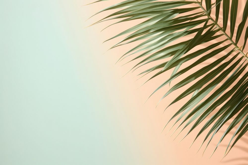  Natural palm leaf backgrounds outdoors nature. AI generated Image by rawpixel.