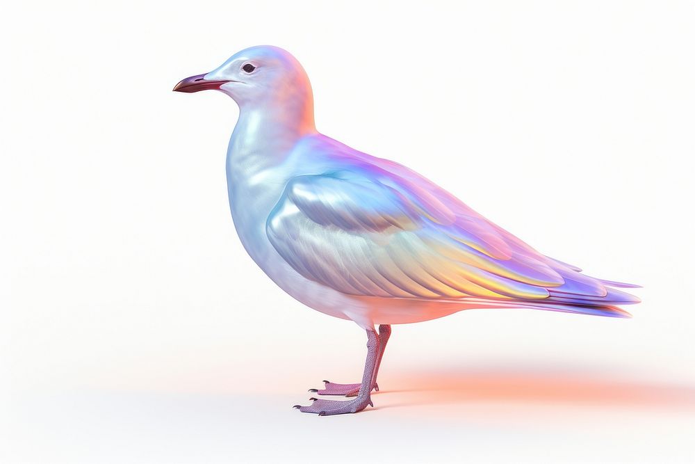 Seagull iridescent animal bird white background.