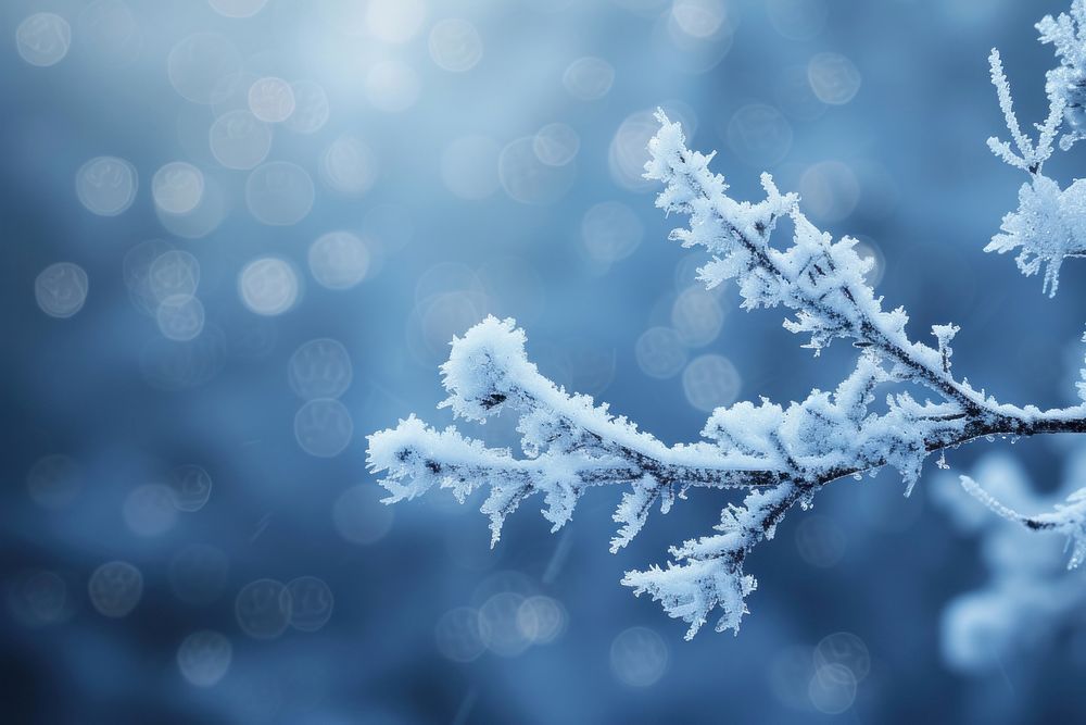 Winter abstract background backgrounds outdoors nature.
