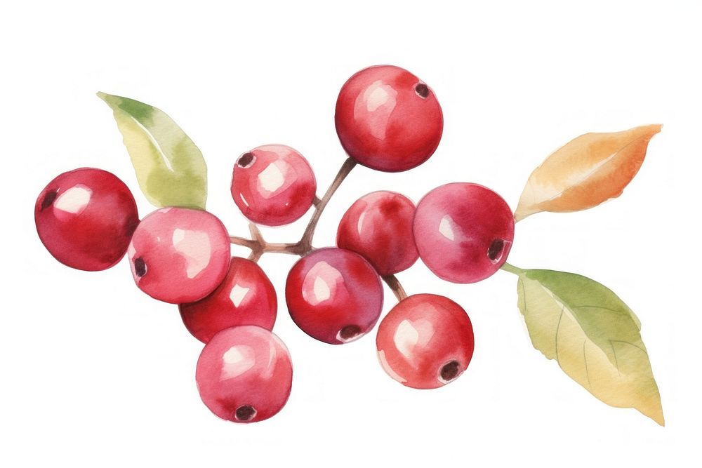 Cranberries fruit plant food. AI generated Image by rawpixel.
