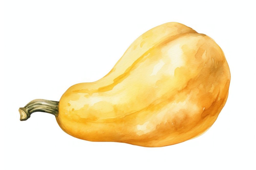 Gourd vegetable squash plant. AI generated Image by rawpixel.