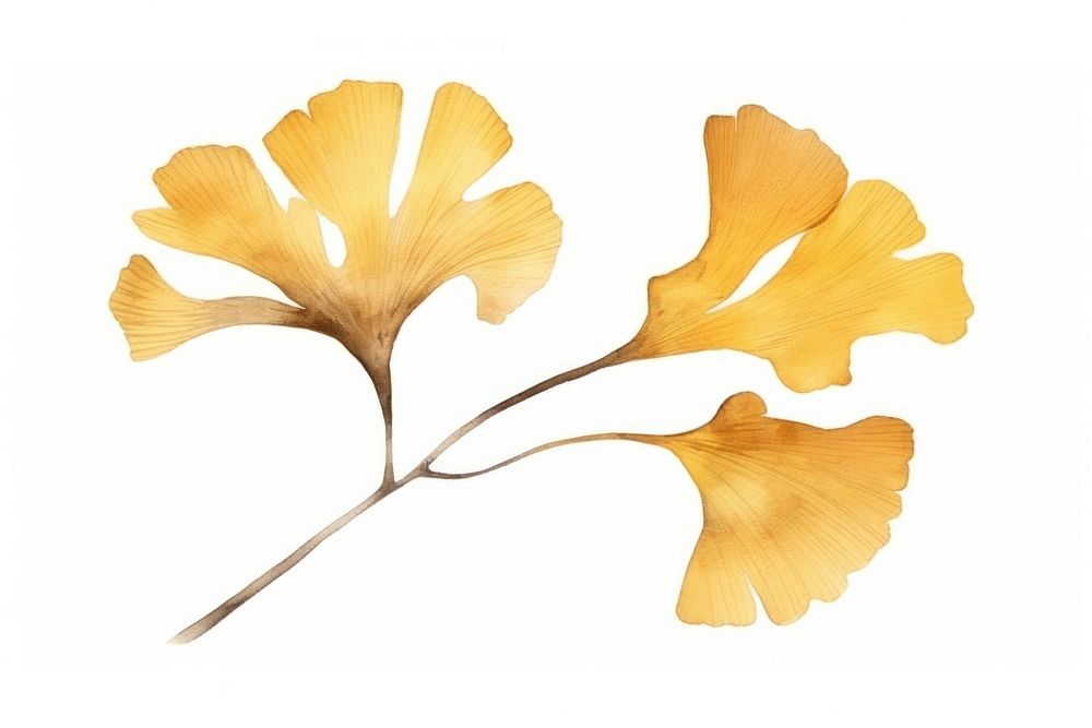 Ginkgo nature flower petal. AI generated Image by rawpixel.