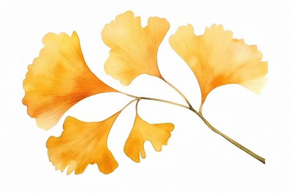 Ginkgo nature plant petal. AI generated Image by rawpixel.
