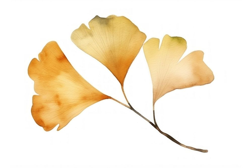 Ginkgo nature autumn plant. AI generated Image by rawpixel.