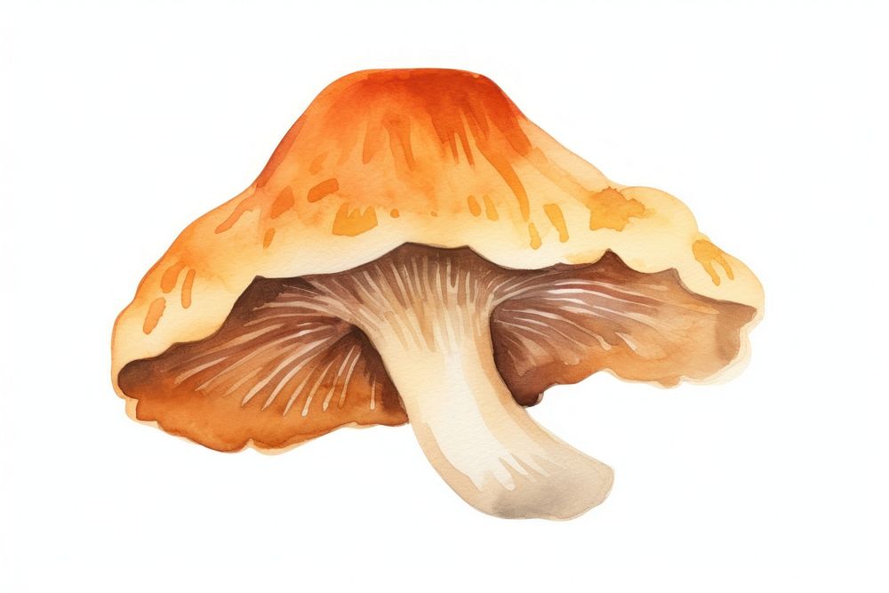 Fungus mushroom nature toadstool. AI generated Image by rawpixel.