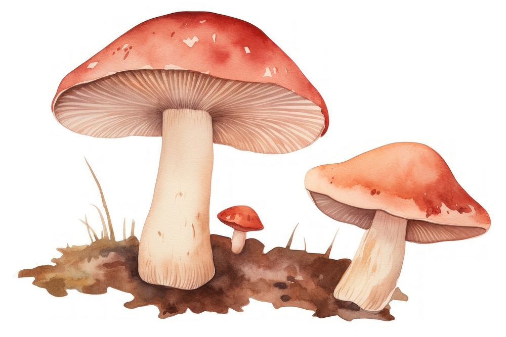 Fungus mushroom agaric nature. AI generated Image by rawpixel.
