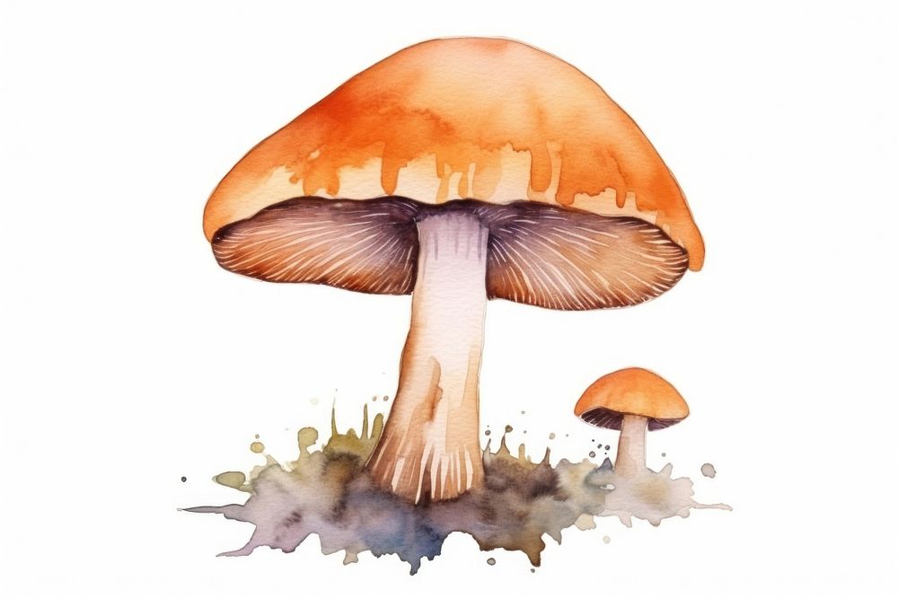 Fungus mushroom nature agaric. AI generated Image by rawpixel.