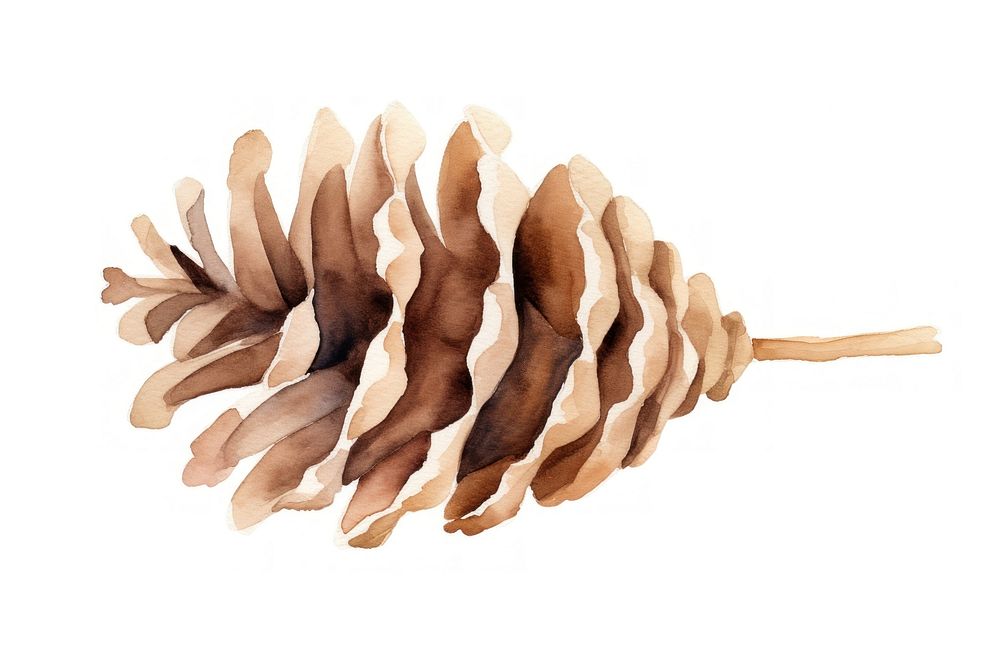 Pine cone plant wood pattern. AI generated Image by rawpixel.