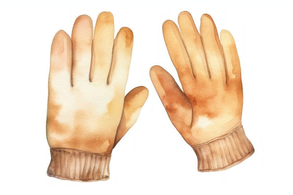 Wool gloves clothing baseball softball. AI generated Image by rawpixel.