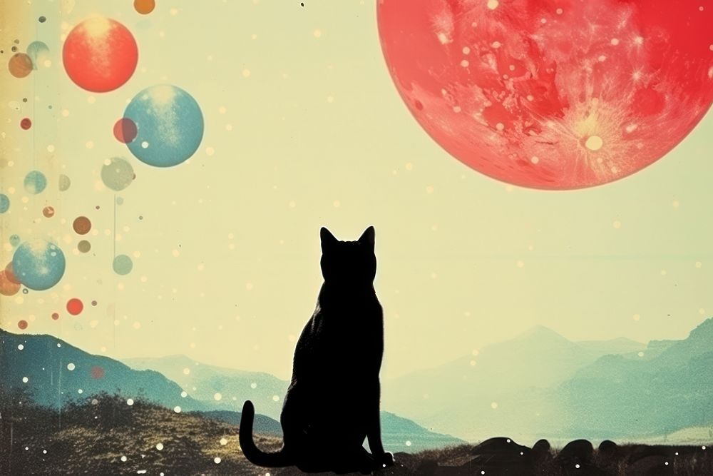 Collage Retro dreamy of cat silhouette mammal animal.