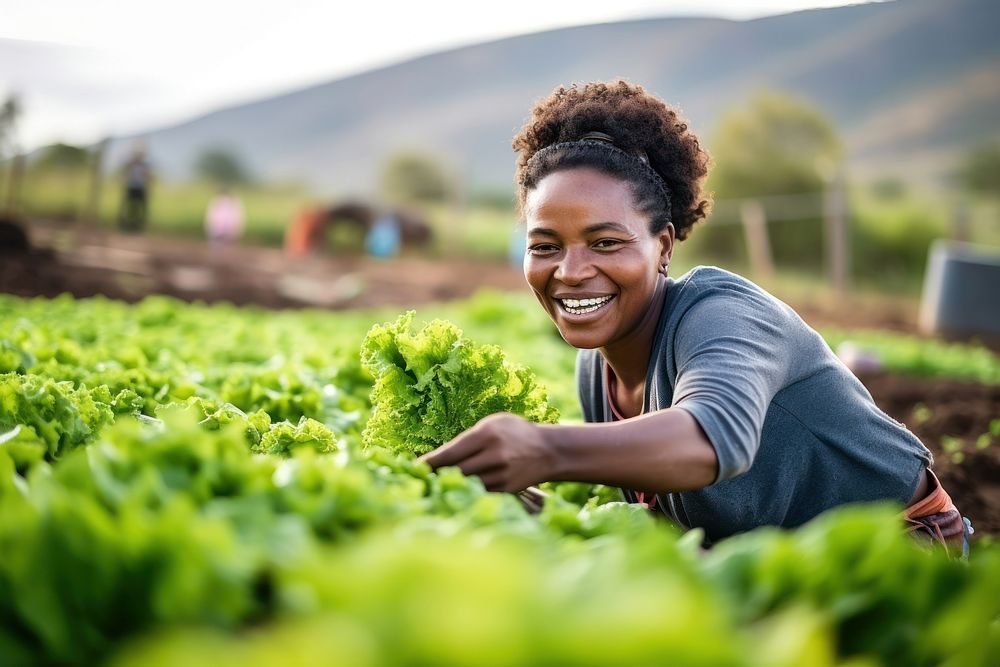 Harvesting outdoors working organic. AI generated Image by rawpixel.