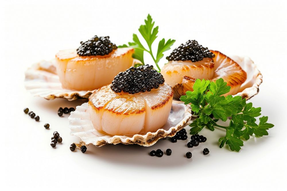 Portion of scallop served in a restaurant with caviar decorated with parsley seafood herbs white background.