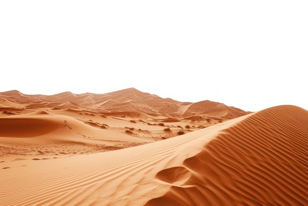 Sahara outdoors desert nature.